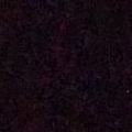 Zero Light 1600 ISO